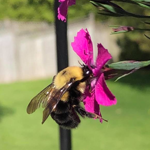 Meet your Posher, Rochelle - Picture 1 of 1